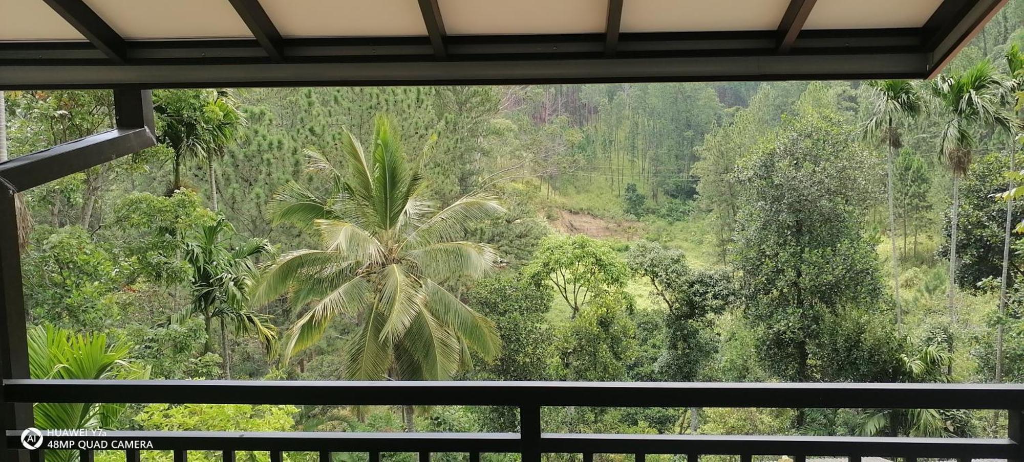 Isuru Homestay Ella Buitenkant foto