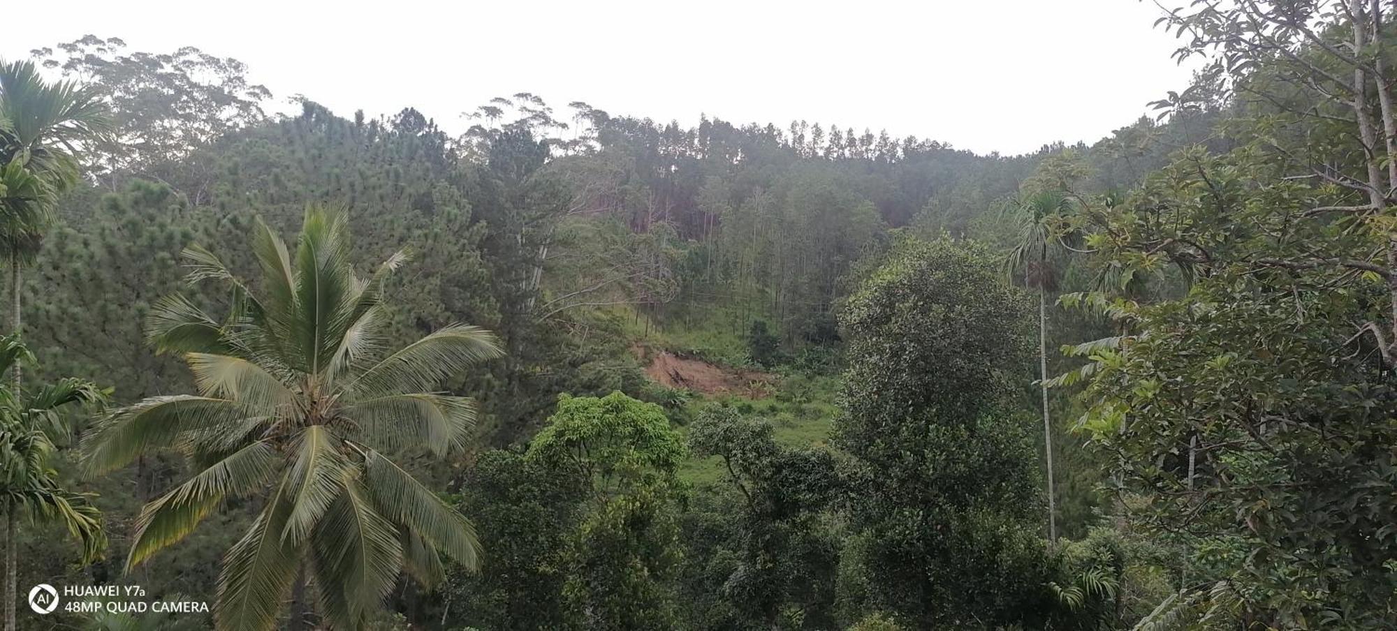 Isuru Homestay Ella Buitenkant foto