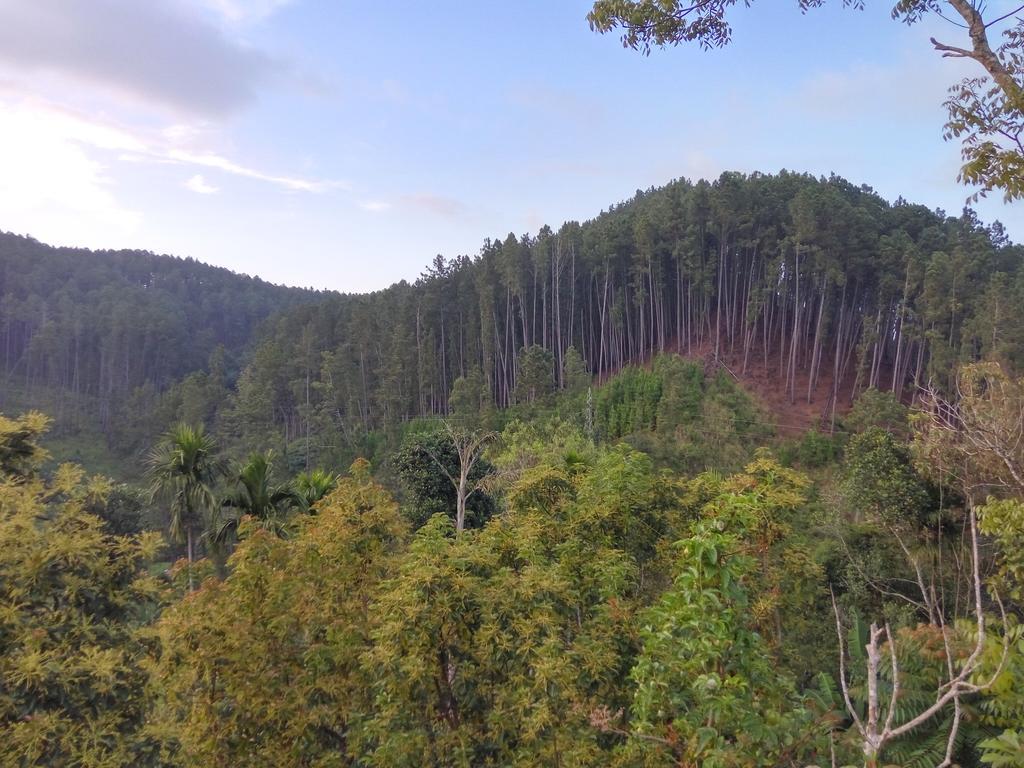 Isuru Homestay Ella Buitenkant foto
