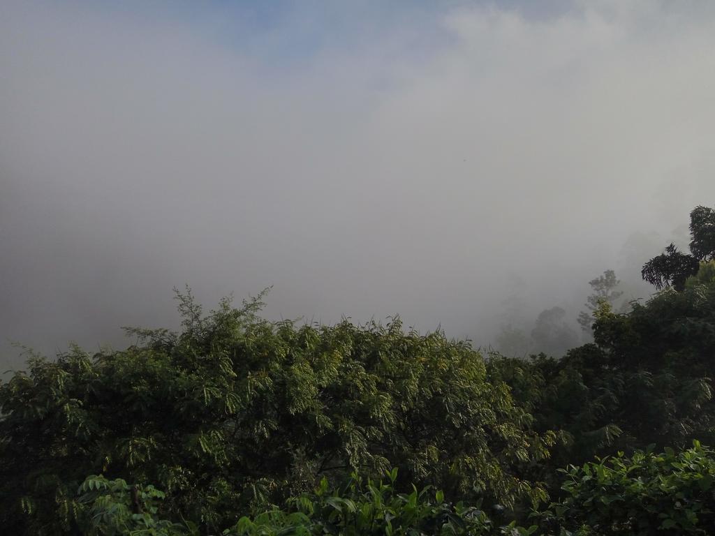 Isuru Homestay Ella Buitenkant foto