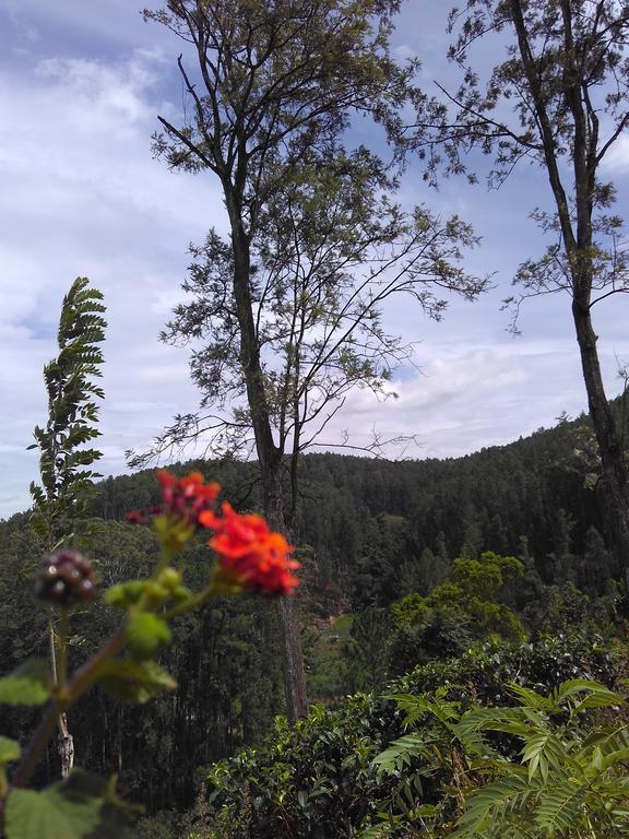 Isuru Homestay Ella Buitenkant foto