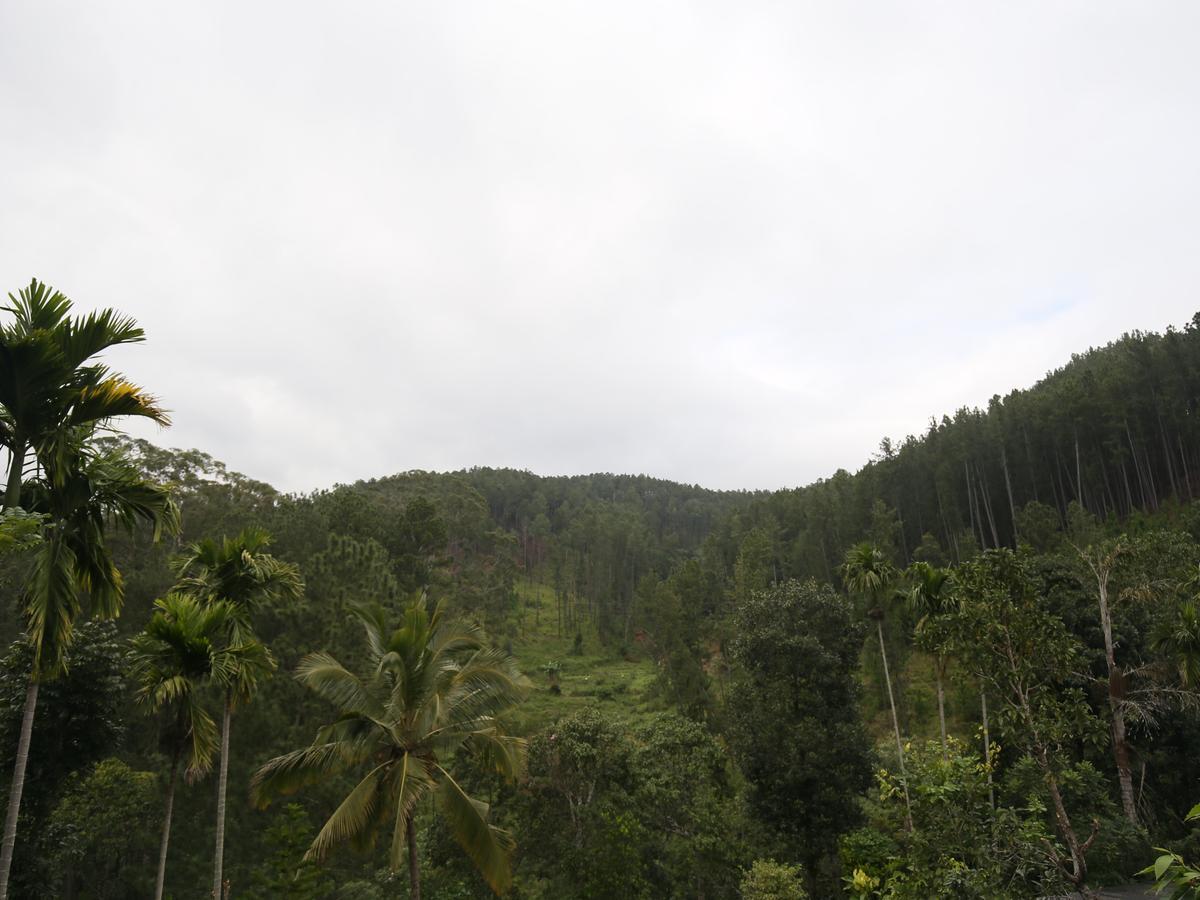 Isuru Homestay Ella Buitenkant foto