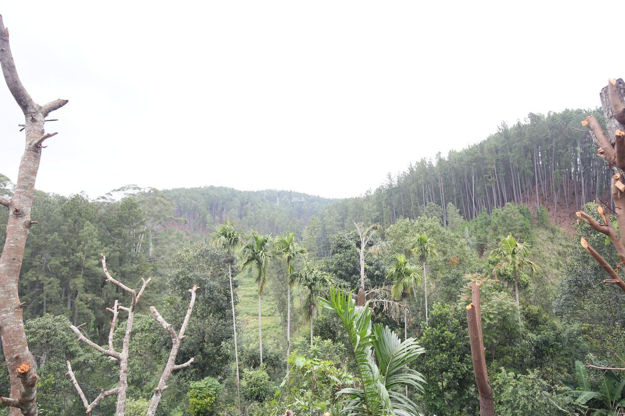 Isuru Homestay Ella Buitenkant foto