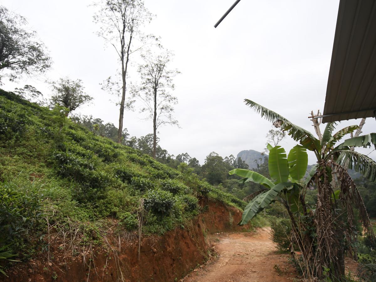 Isuru Homestay Ella Buitenkant foto